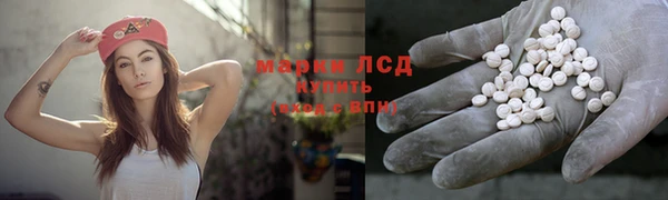 стаф Баксан