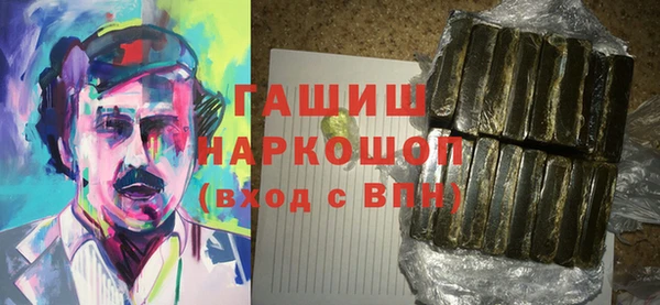 хмурый Арсеньев