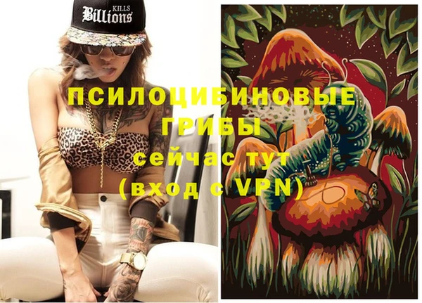 хмурый Арсеньев