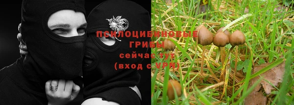 хмурый Балабаново