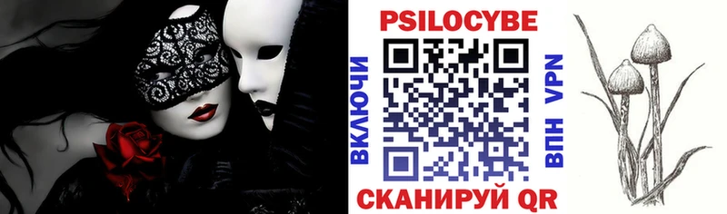 Галлюциногенные грибы Psilocybe  закладка  мориарти формула  Нефтекумск 